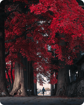 Hidden gem 2