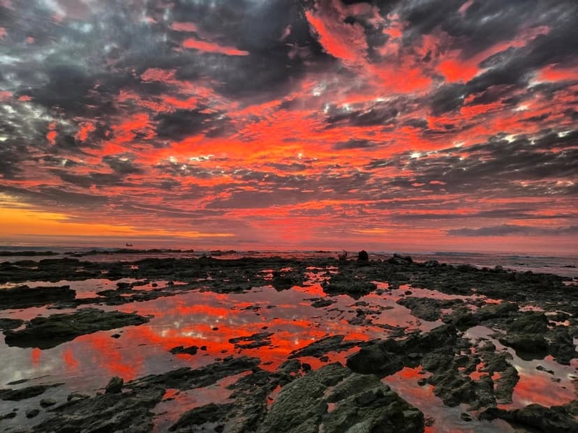Best Time to Visit Costa Rica 2026: Month-by-Month Guide (From Someone Who's Been)